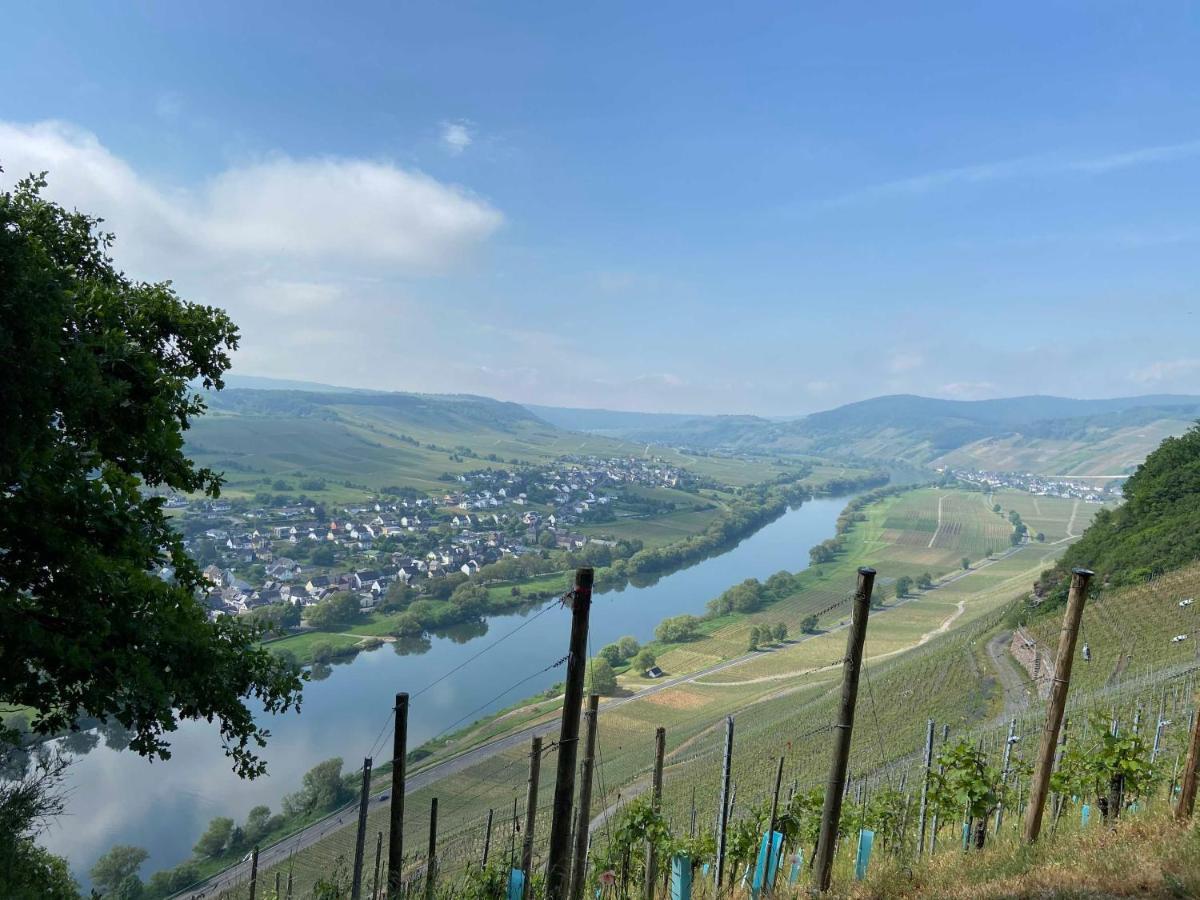 Neu!!! Moselbleibe Winzerhaus Kues Bernkastel-Kues Exterior foto